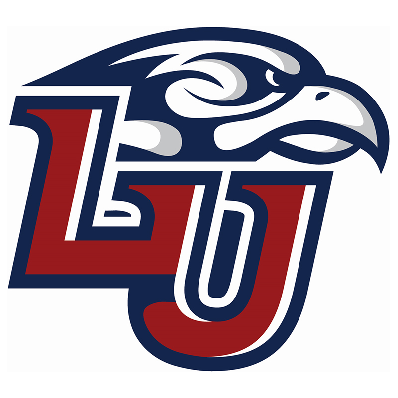 Liberty Flames iron ons